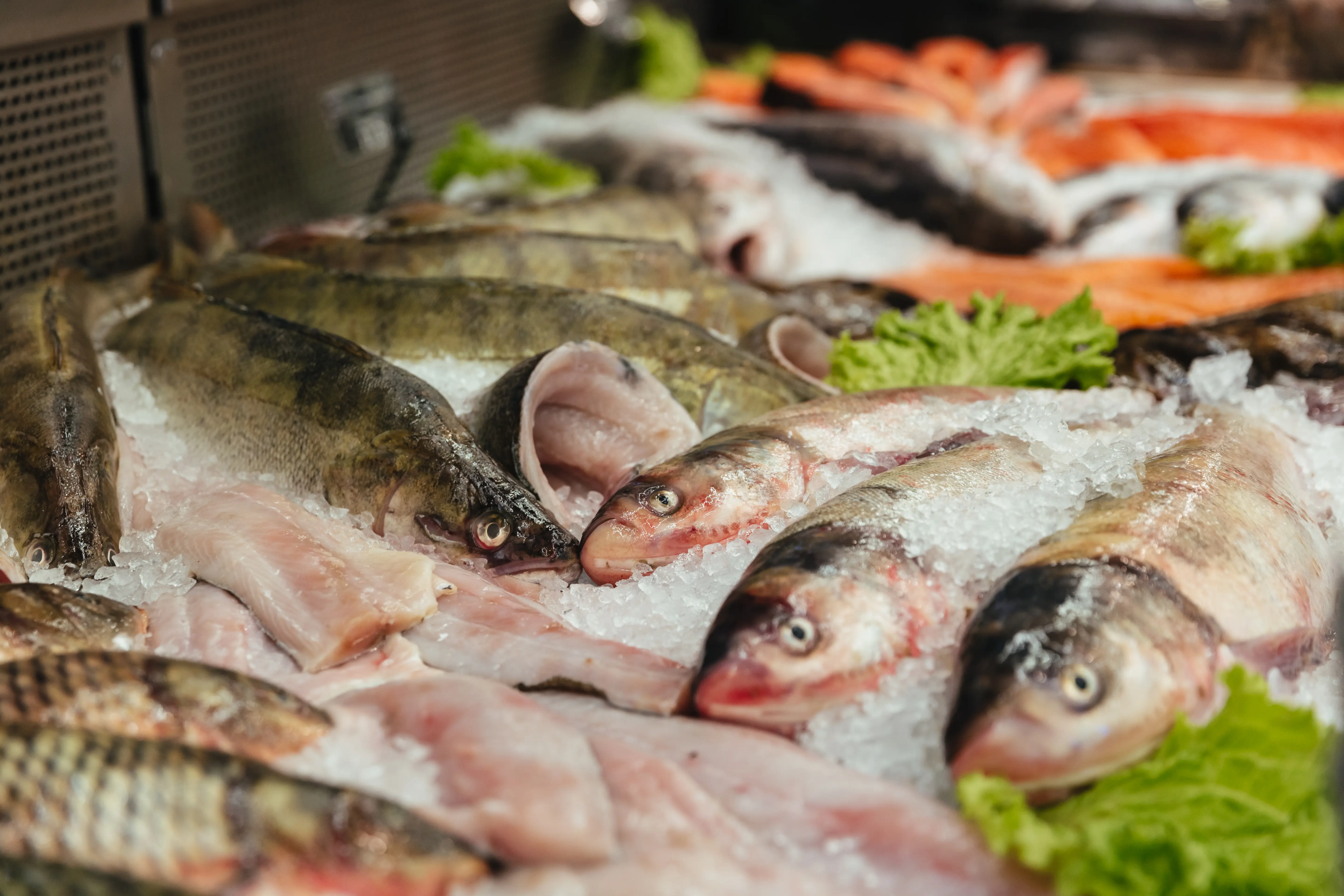 /images/poissonerie.webp